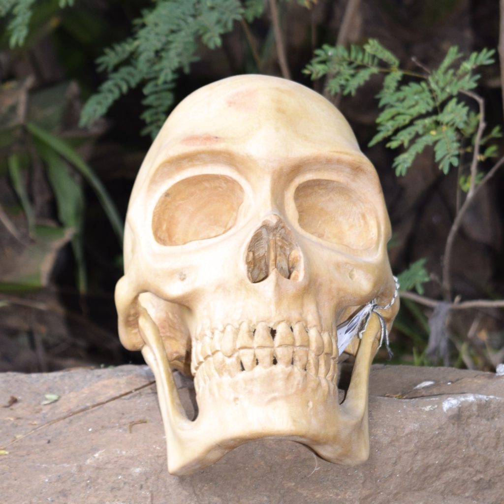 Friday Jibu - Human Skull